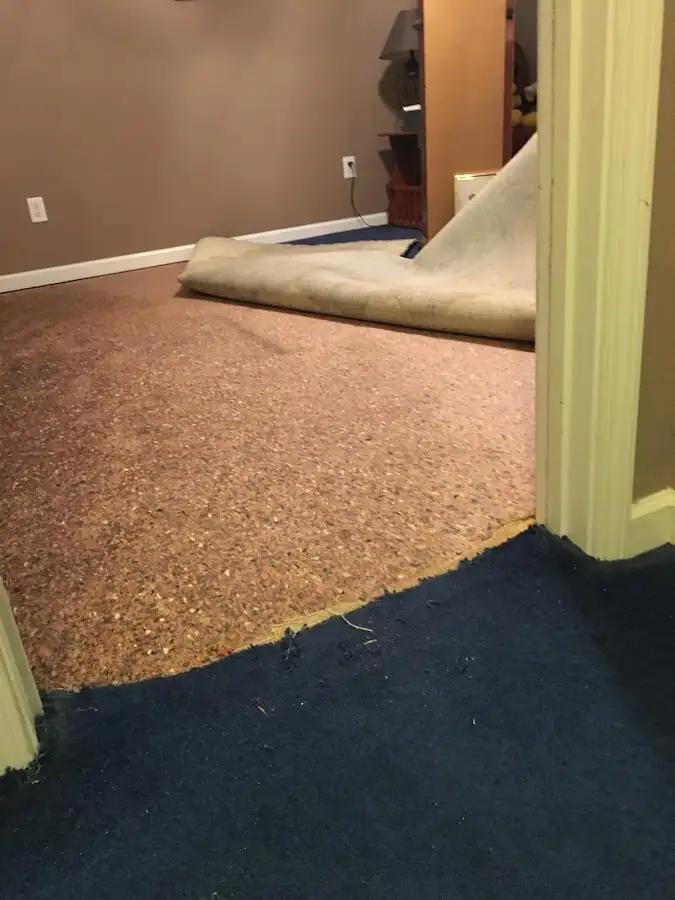 Carpet pad removal revealing water damage during Drying & Dehumidification in Watervliet